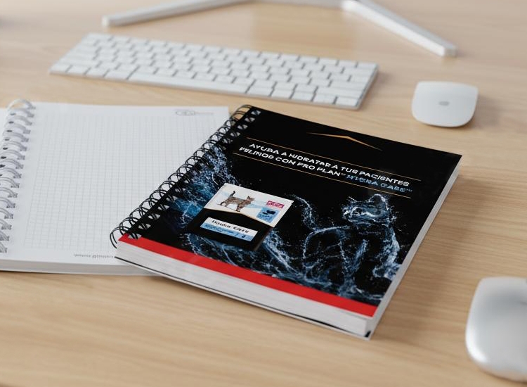 libretas con anillas A4 tapas duras
